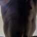 Polony's profile picture