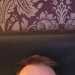 FunRunner55eeb5's profile picture