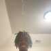 Treyvon2233's profile picture