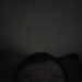 GenuineCompanion82fd44's profile picture