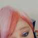 Ragdoll's profile picture