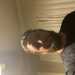Glennoinvers's profile picture