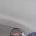 GraciousCompanion's profile picture
