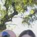 KinkuCuple7894's profile picture