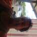 Grantbicknell1's profile picture