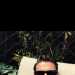 Sid3787's profile picture