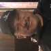 Hause67's profile picture
