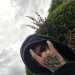 HopefulSporty63's profile picture