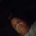 RickysTwin's profile picture