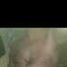 HumbleSeeker's profile picture