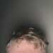 ImaginativeExplorer's profile picture