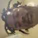 Gueran's profile picture