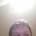 InsightfulFoodie3497ad's profile picture