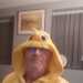 Barnard's profile picture