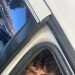Sunshine's profile picture