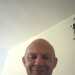 LovingCompanion's profile picture