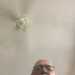 Lovtolick65's profile picture