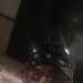 Thedon1300's profile picture