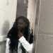 lyiah's profile picture
