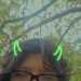 KhaosFox's profile picture