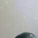 MagneticProfessor311c0's profile picture