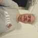 Wolfgarder's profile picture