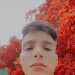 Leonardienteactivo
