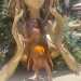 PatientSensual56f0a9's profile picture