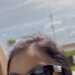 Profile photo of PositivePrincess from Huntsville