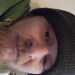 PositiveSocialite59d2b9's profile picture