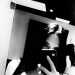 Lilacsylph15's profile picture