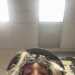 JASMINELOLA's profile picture