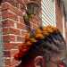 Blaque 's profile picture