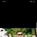 Rp199ripout's profile picture