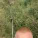 Bored tezza's profile picture