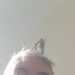 SexyVolunteer's profile picture