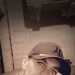 Dazza's profile picture