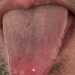 Pandy4Pussy's profile picture