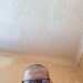 SophisticatedChef536ded's profile picture