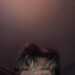 b4ntha's profile picture