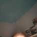Mushie's profile picture