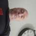 Markshark1969's profile picture