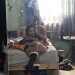 StrongRebel530eb9's profile picture