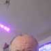 Davmann65's profile picture