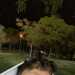 StunningPhilosopher5016ba's profile picture