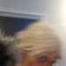 SweetDaydreamer353e2c's profile picture