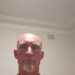 Lickalotapuss's profile picture
