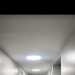 Lucaimer69a's profile picture
