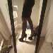Tarafishnets's profile picture