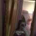 ThoughtfulDreamer98e3a5's profile picture